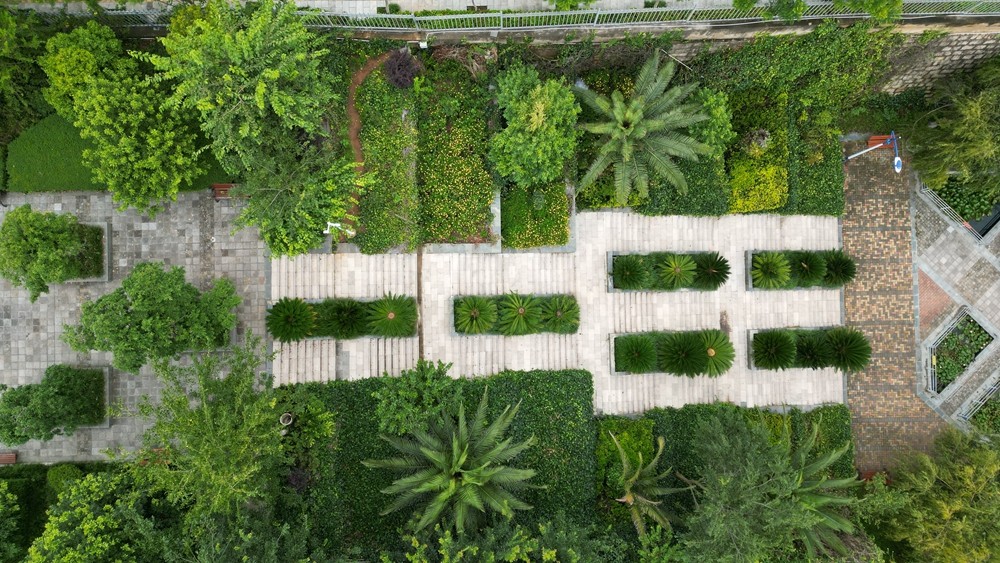 DJI_0700.JPG