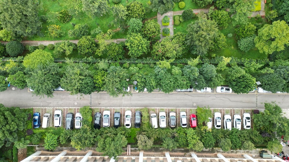 DJI_0709.JPG
