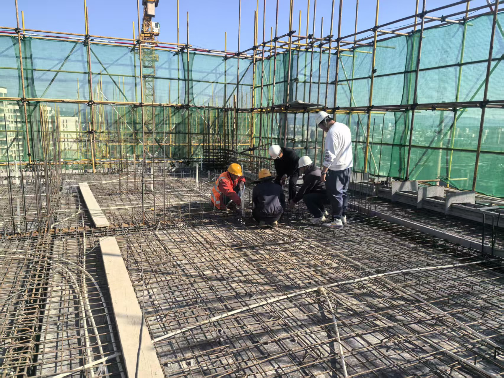 微信图片_20251210091544_175_2.jpg 微信图片_20251210091544_175_2.jpg